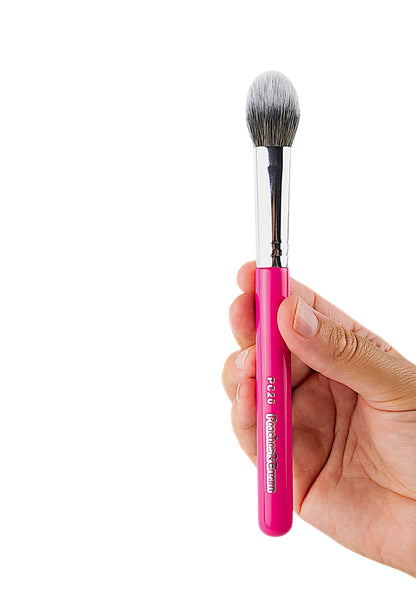 PC20 Petite Cheek Brush